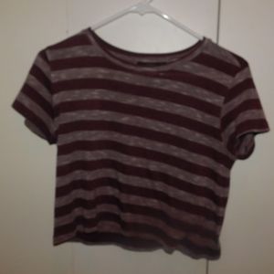 stripped crop top